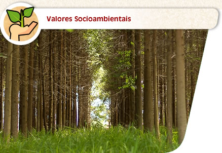 vinheta_valores_socioambientais